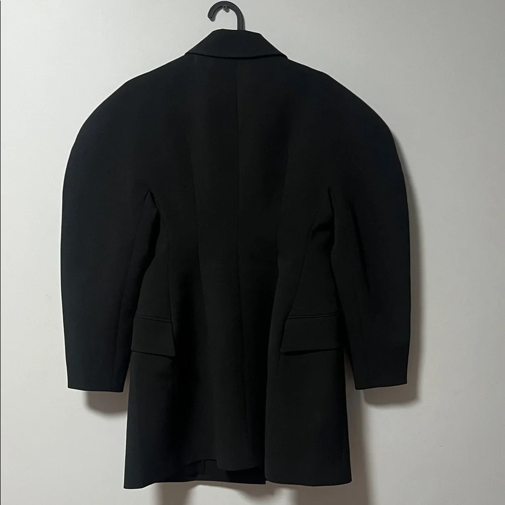 Elegant Black Blazer dress with Crystal Embellishments! - Picture 3 of 16